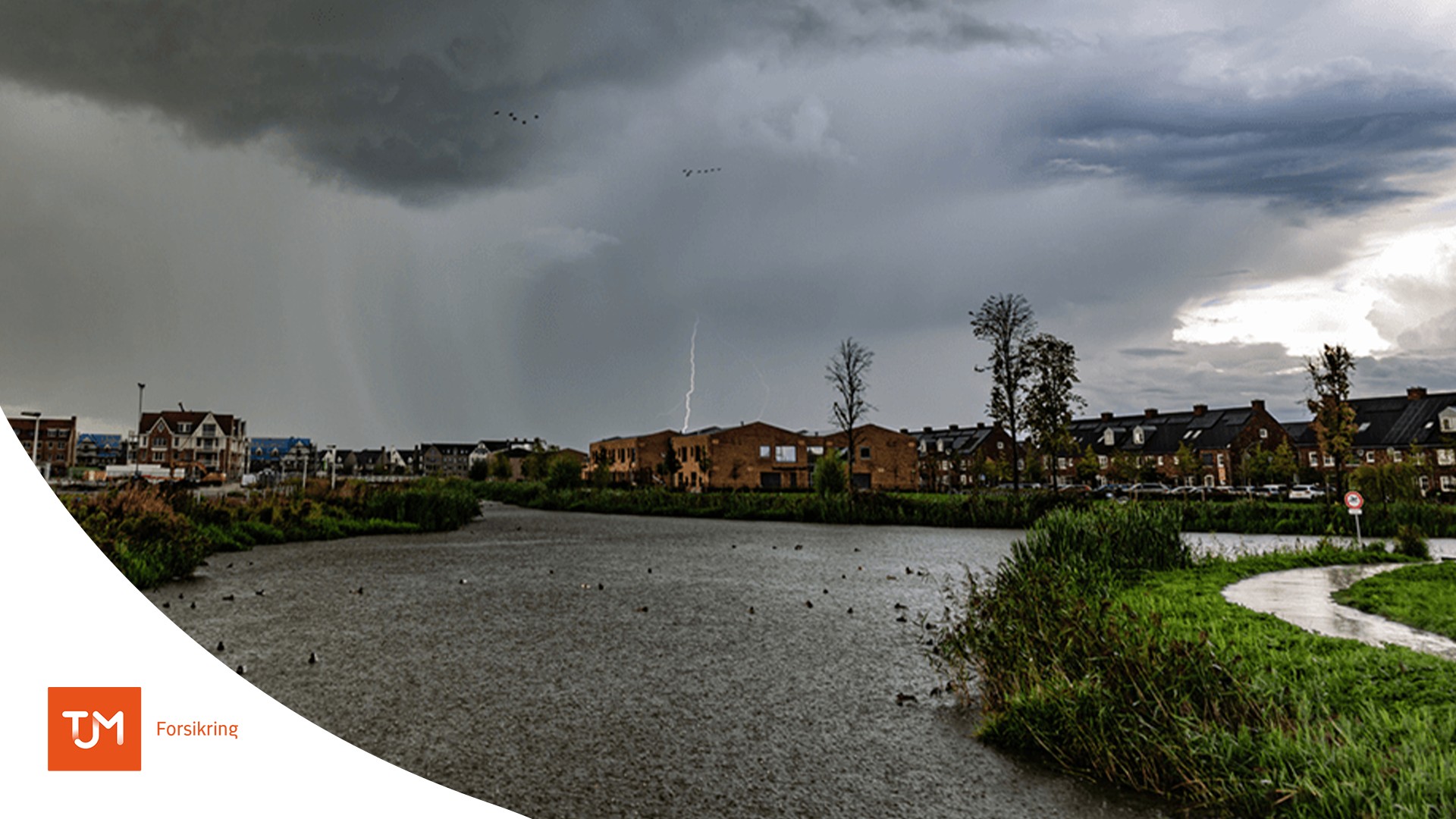 Storm